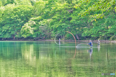 2020-07-19_湯ノ湖(9)