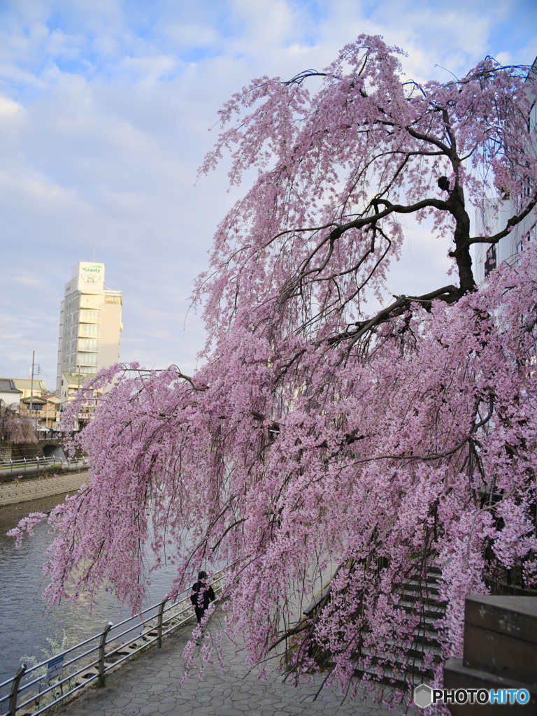 2023-03-29_スナップ-4