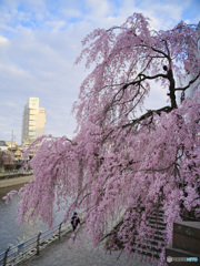 2023-03-29_スナップ-4
