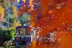 2025-11-22_沢入駅