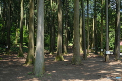 2021-06-26_宇都宮森林公園-3