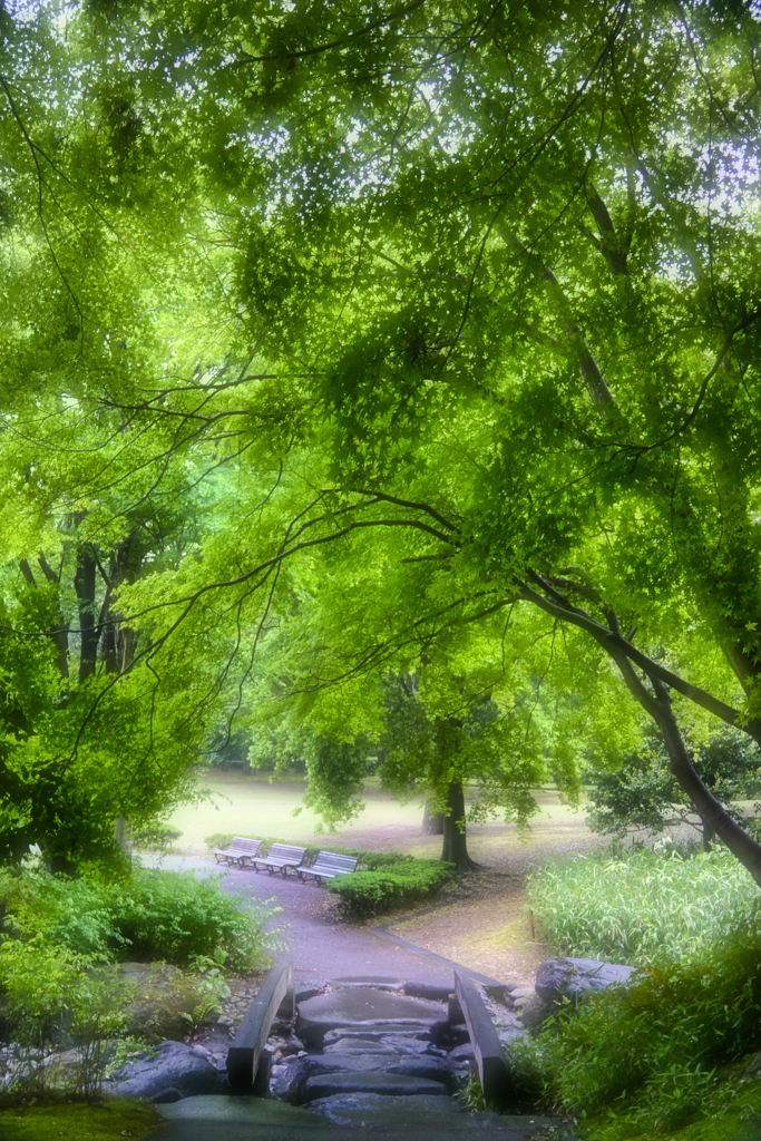 2023-05-13_栃木県 中央公園-1