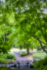 2023-05-13_栃木県 中央公園-1