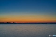 2020-06-20_涸沼(4)