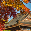 2020-11-14_永源寺もみじ寺(2) (1)