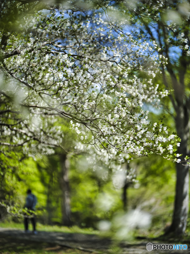 2022-05-28_マウントジーンズ那須