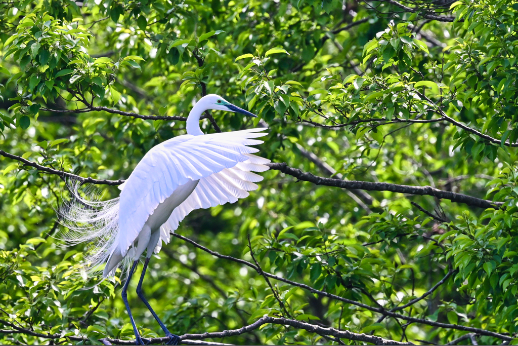 2023-05-05_栃木県 井頭公園-3