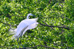 2023-05-05_栃木県 井頭公園-3