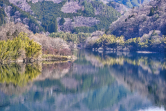 2025-04-12_草木湖