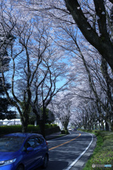 2023-04-01_栃木県農業試験場前道路-2