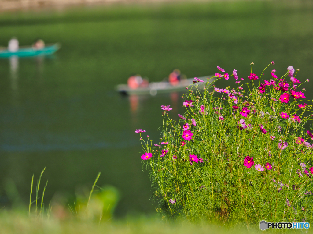 2021-09-19_東古屋湖-1
