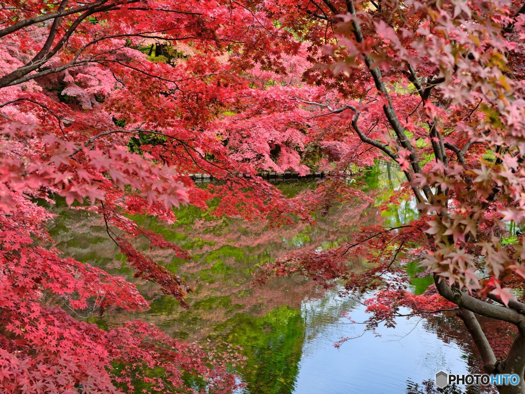 2021-10-31_弘前公園