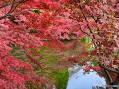 2021-10-31_弘前公園