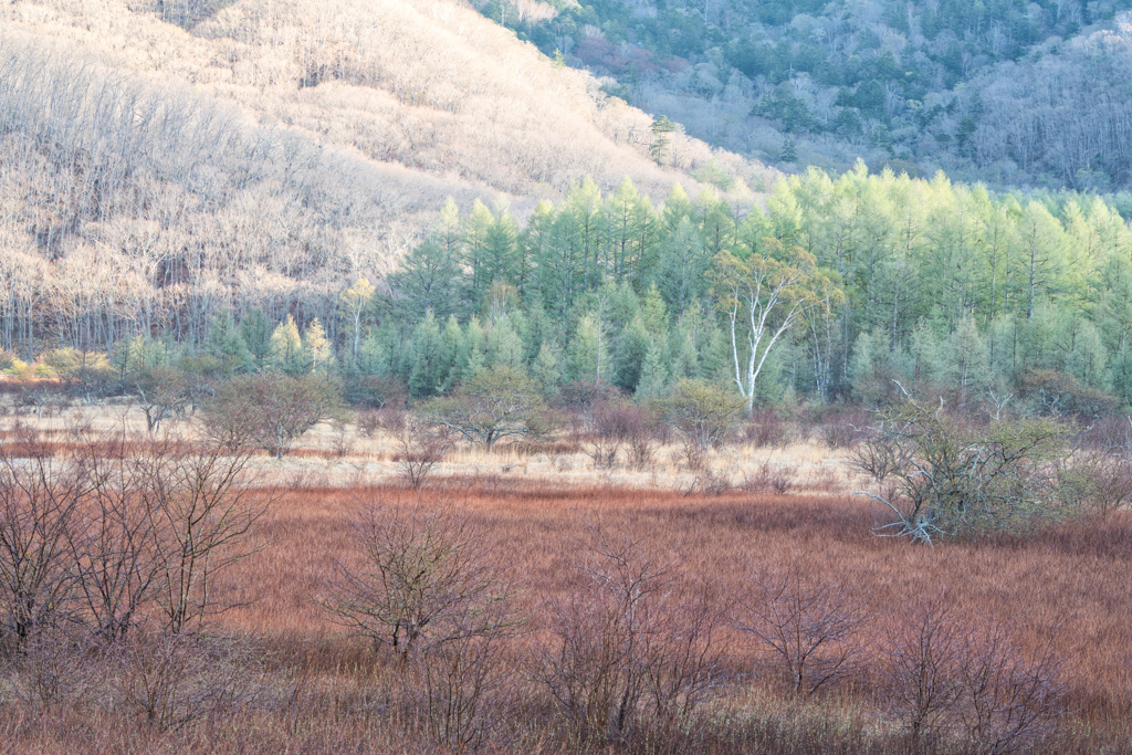 2020_戦場ヶ原(2)