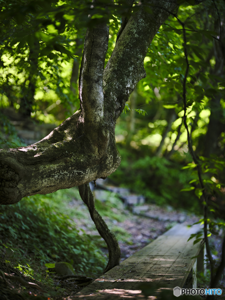 2022-05-28_尚仁沢湧水-2