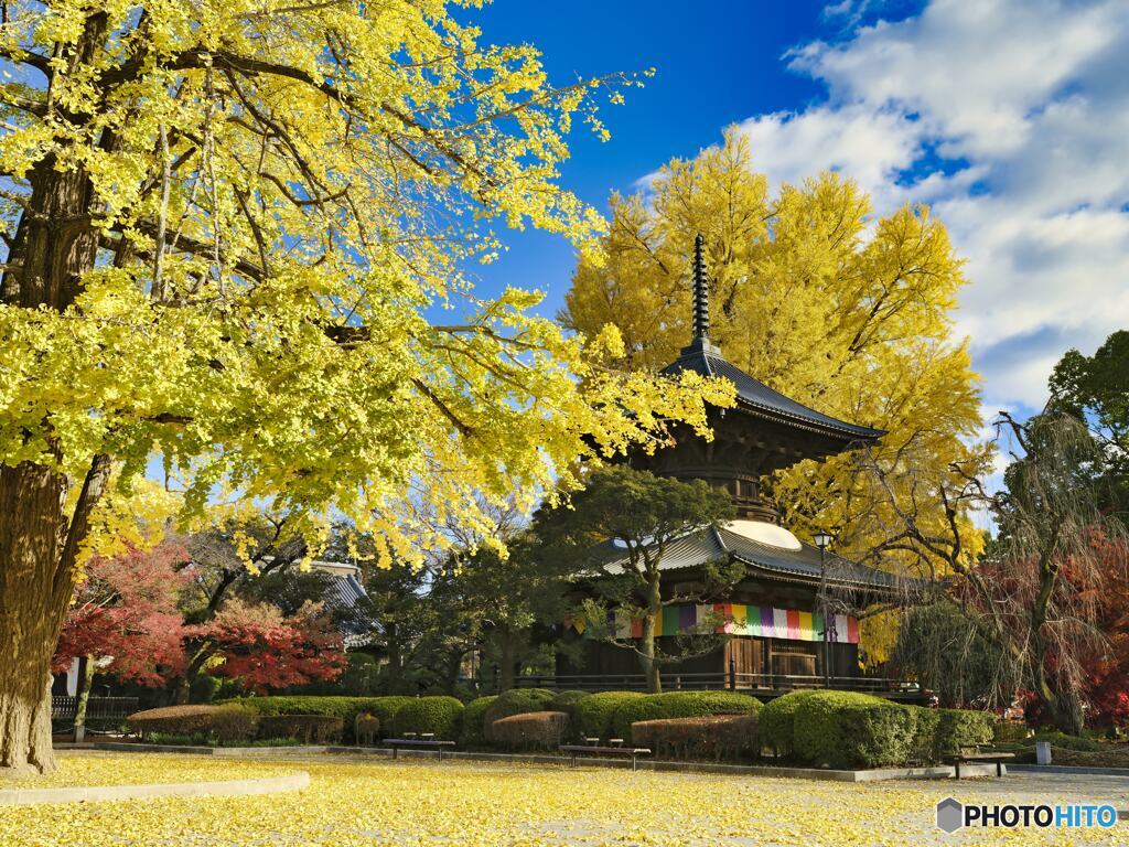 2021-11-23_大日尊 鑁阿寺-2(ASTIA)