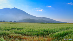 2021-10-03_筑波山とそば畑-1