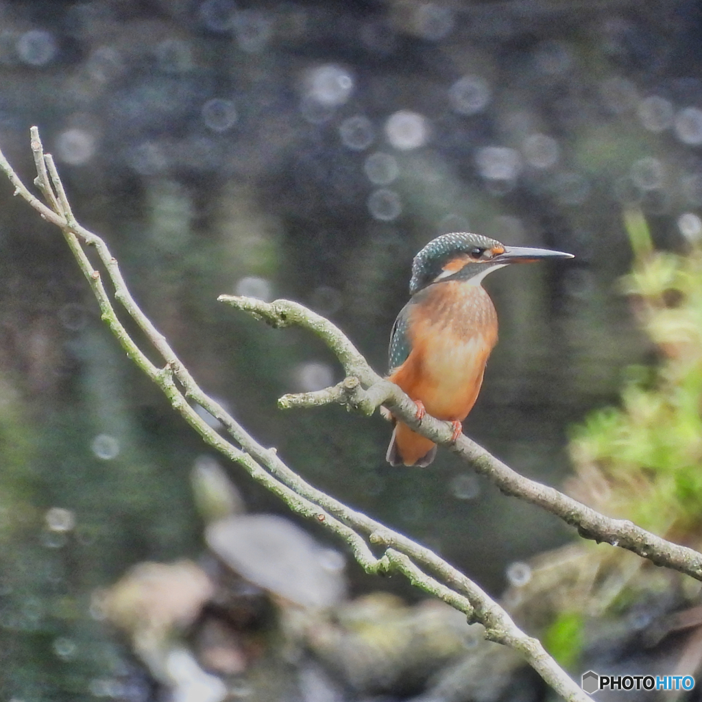 2021-09-12_井頭公園-1