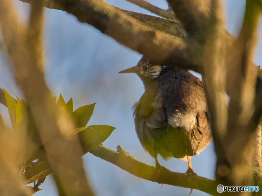 2020-12-13_大洗サンビーチ(4)