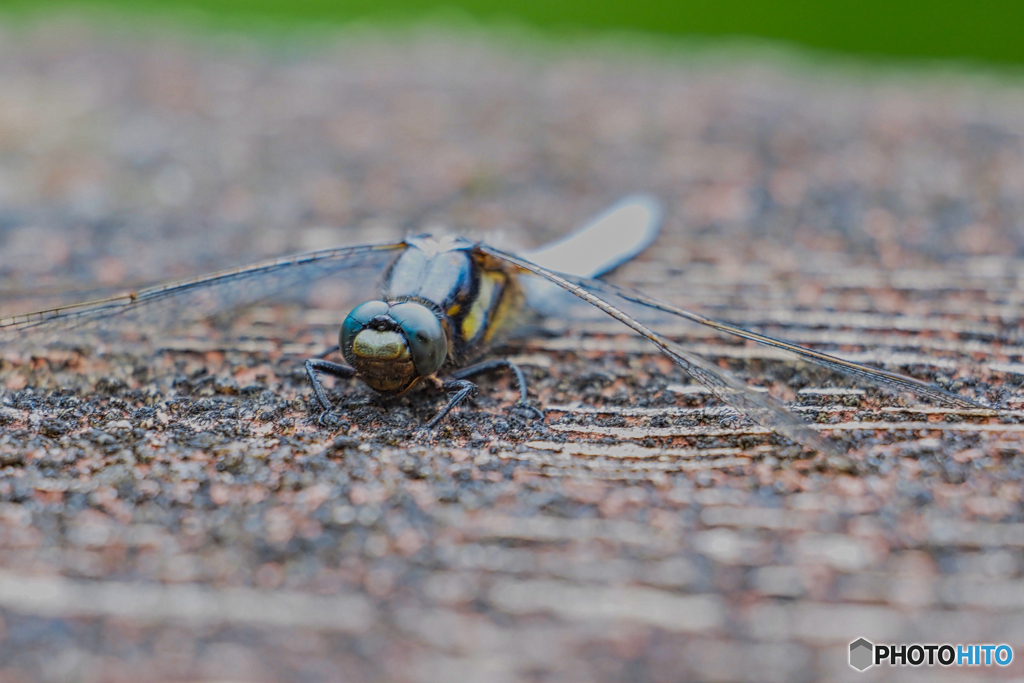 2021-06-05_日光散策-4