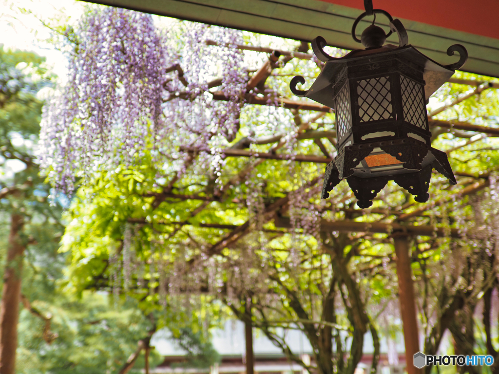 2022-05-03_笠間稲荷神社-3