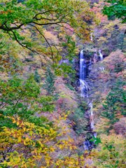 2023-10-29_蛇王の滝-1