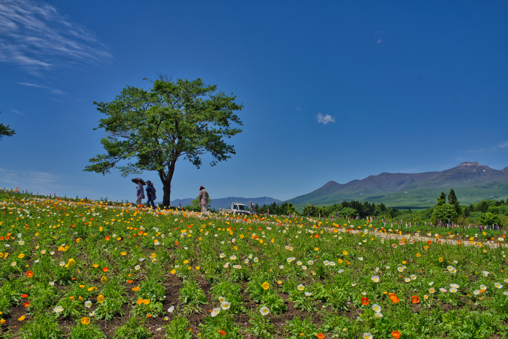 2020_那須フラワーワールド(8)