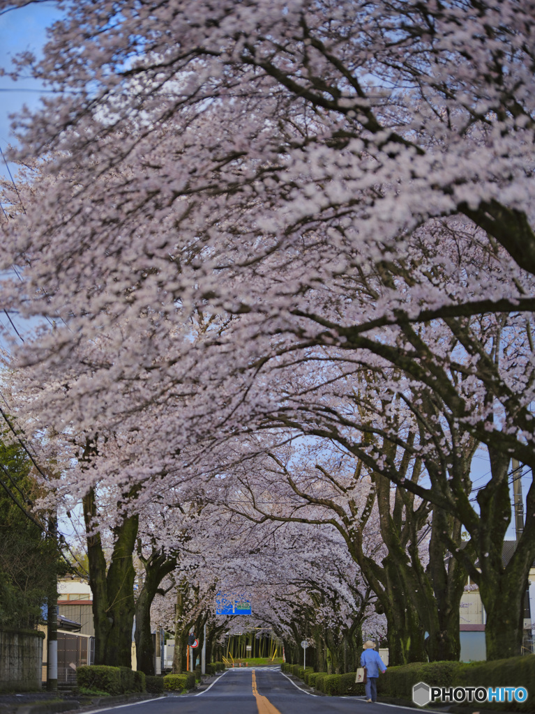 2023-03-27_栃木県農業試験場前道路