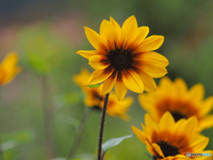 2021-09-25_大内宿-7