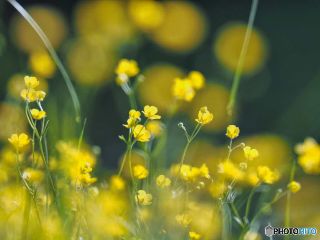 2022-04-30_栗谷沢ダム-1