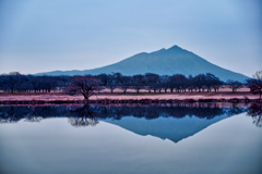 2025-02-16_母子島遊水池
