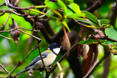 2023-10-16_栃木県中央公園-3