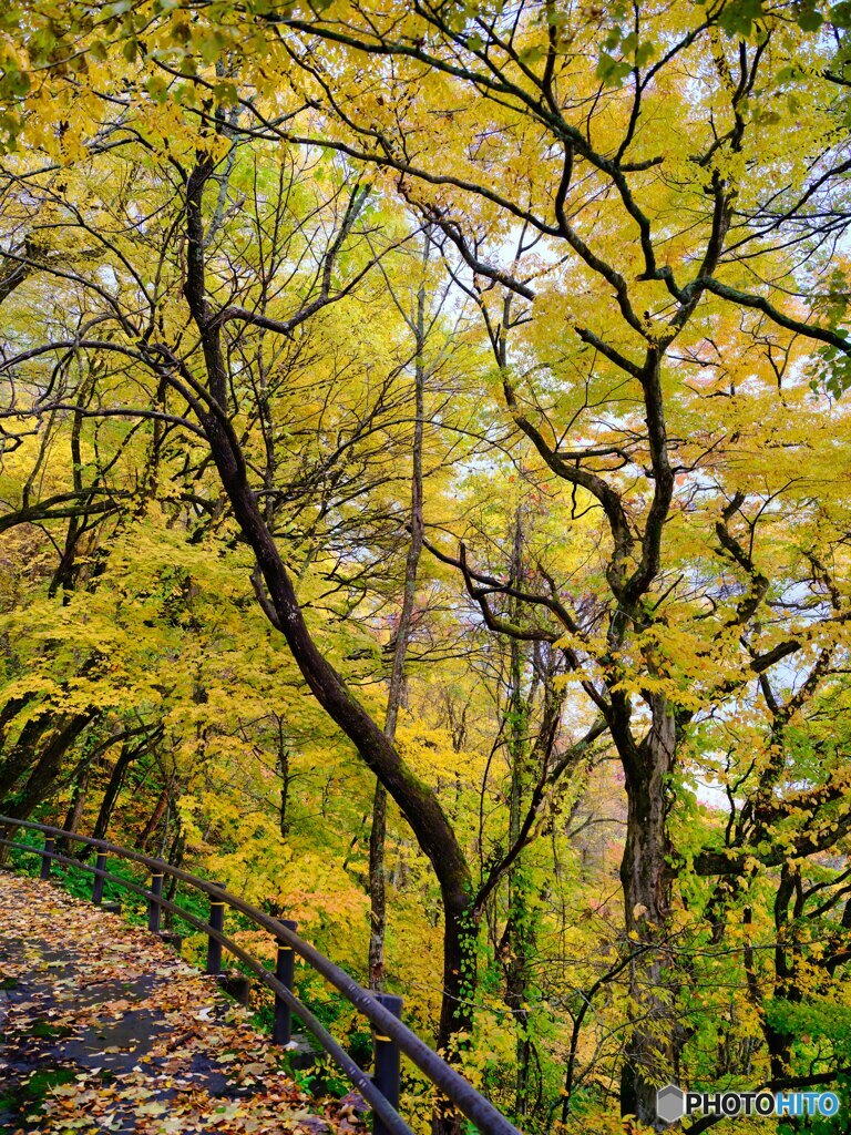 2021-10-29_十和田湖周辺-1