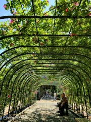 2024-05-25_栃木県井頭公園
