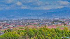 2021-04-02_富士見市内