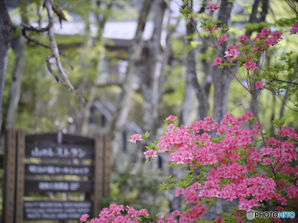 2022-05-06_山のレストラン駐車場