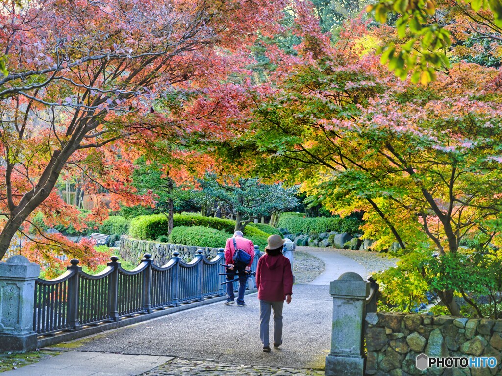 2021-11-19_栃木県中央公園-1