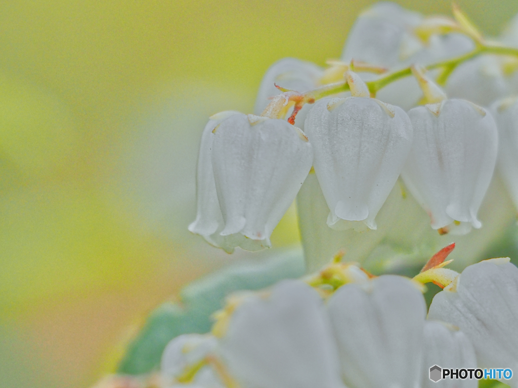 2021-04-04_近くの公園(1)