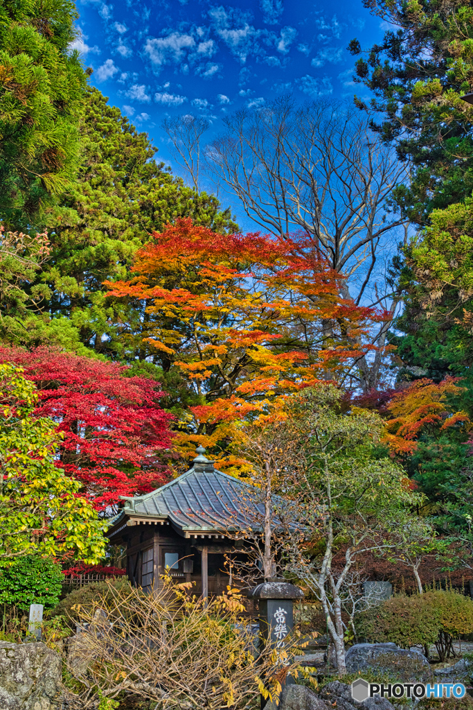 2020-11-08_妙雲寺(1)