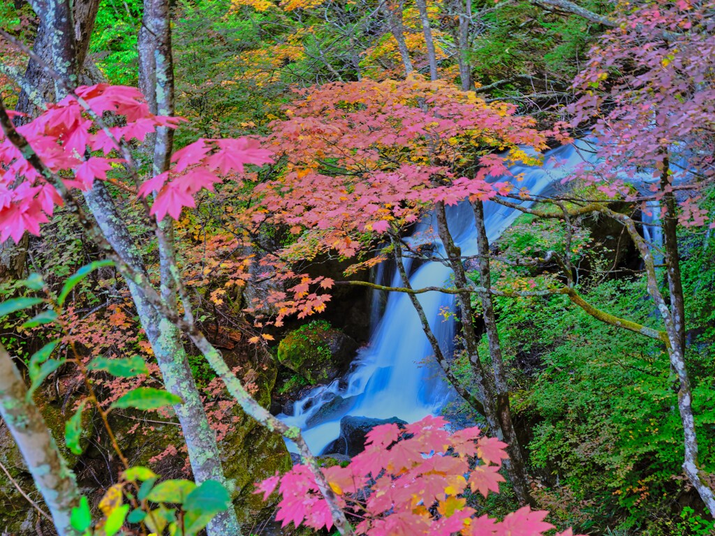 2021-10-09_竜頭ノ滝上流部-1