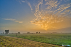 2020-07-24_渡良瀬遊水地(1)