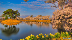 2021-04-02_六道の堤(4)