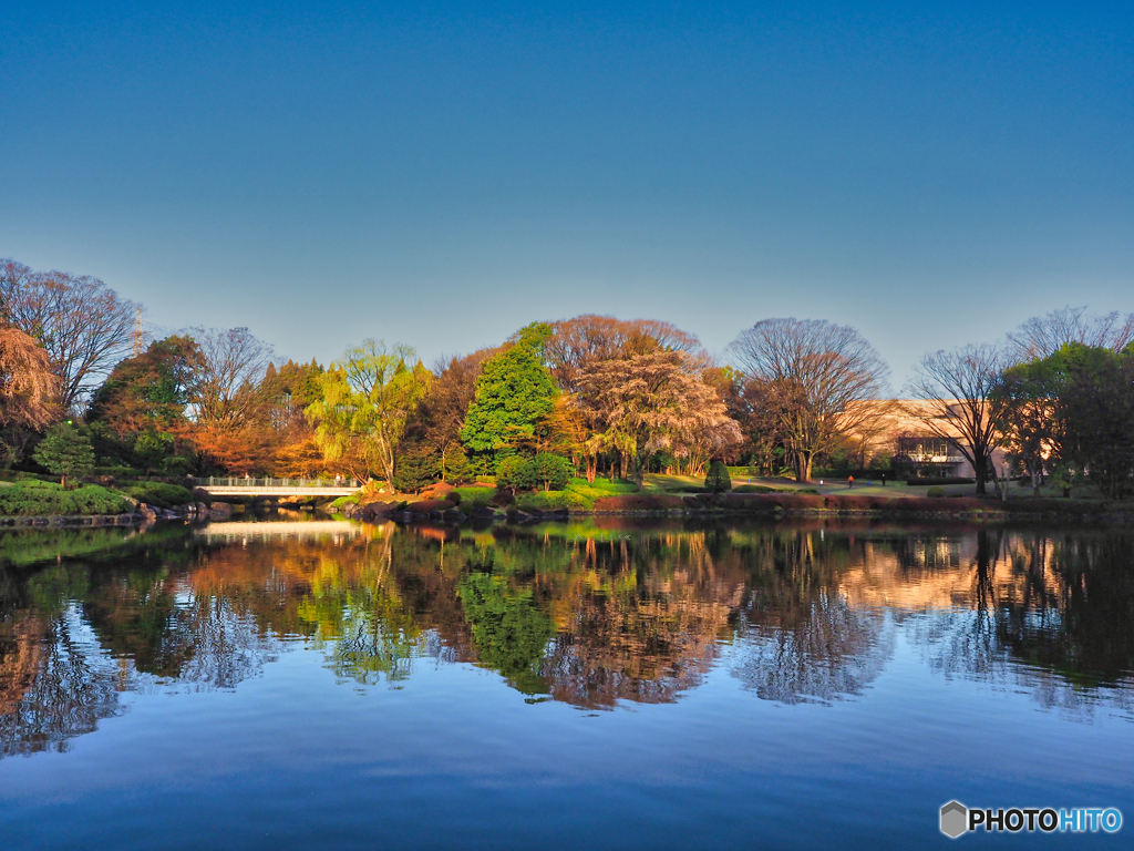 2021-03-30_栃木県中央公園