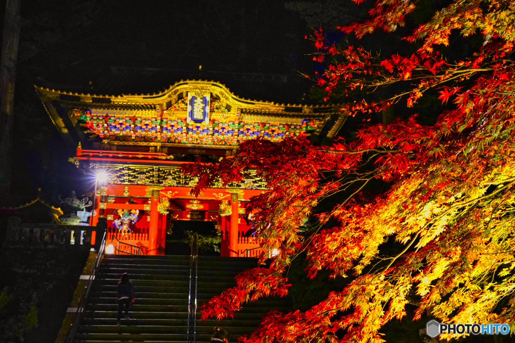 2020-11-06_日光山輪大寺大猷院(3)