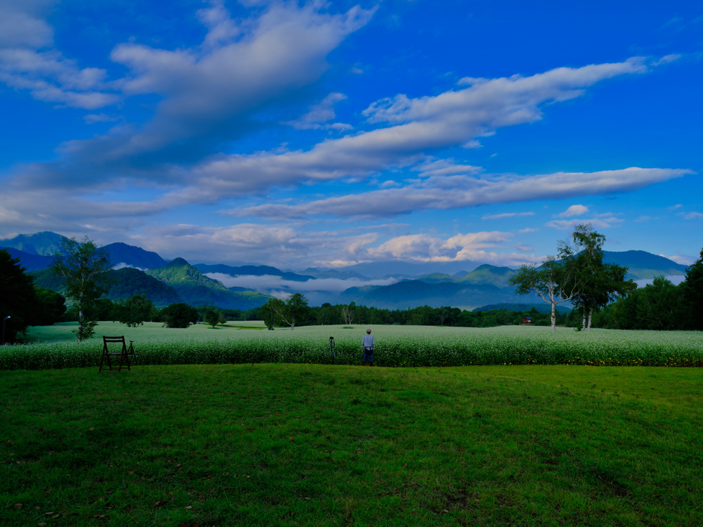 2021-08-27_たかつえそば畑-3