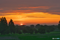 2020-06_渡良瀬遊水地(1)