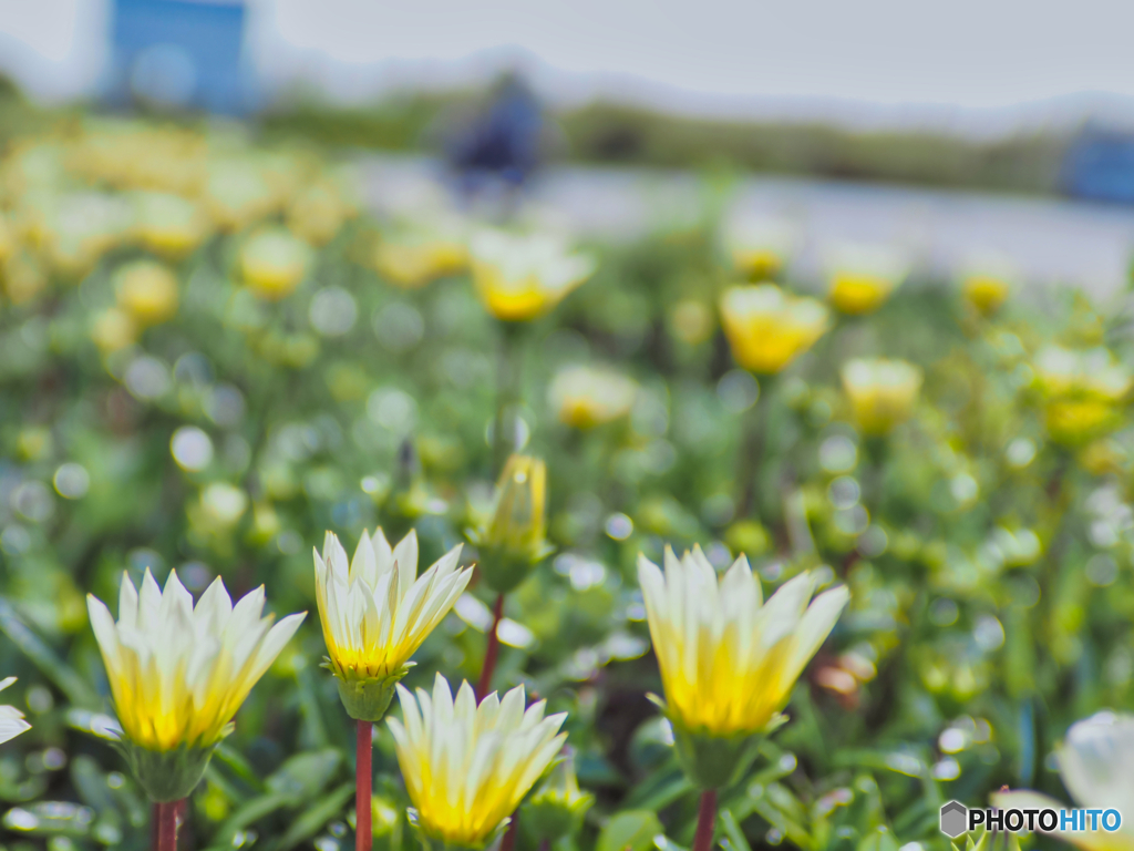 2022-05-03_刑部岬駐車場