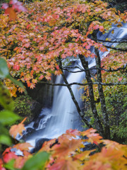 2022-10-14_竜頭ノ滝-2