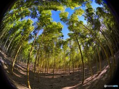 2022-01-09_若竹の杜 若山農場-2