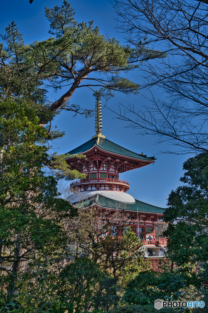 2021-02-20_成田新勝寺(1)